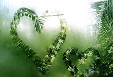 开元棋牌能下载吗？